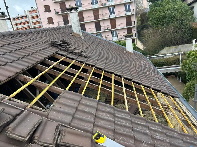 Toiture envahie de mousse avant nettoyage et démoussage